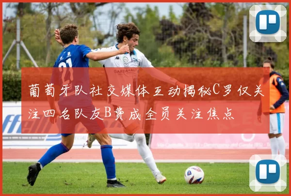 葡萄牙队社交媒体互动揭秘C罗仅关注四名队友B费成全员关注焦点