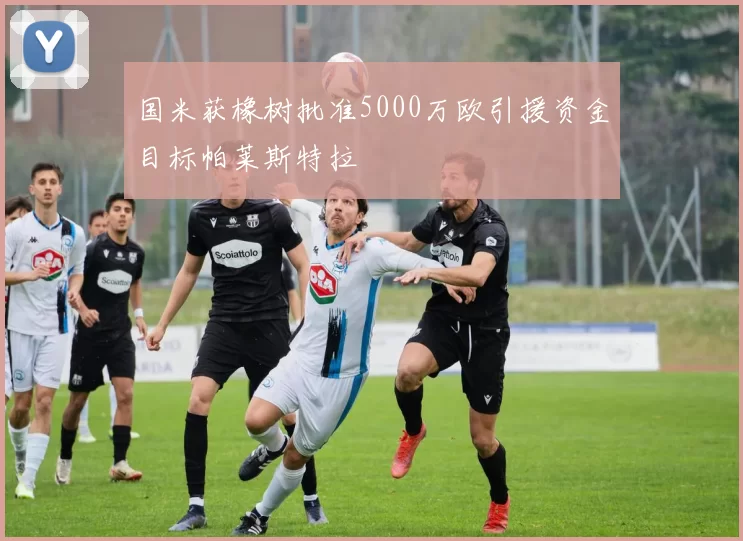 国米获橡树批准5000万欧引援资金目标帕莱斯特拉